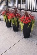 Mixed Flower Planter
